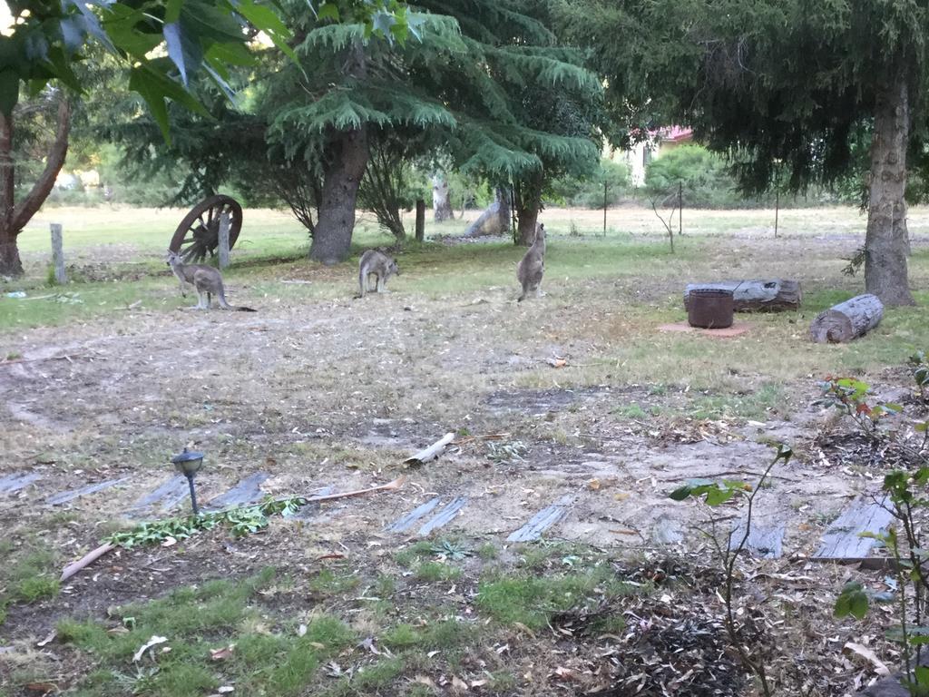 The Rocks Apartments Halls Gap Luaran gambar