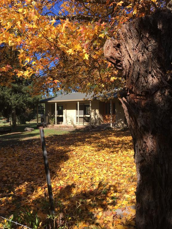 The Rocks Apartments Halls Gap Luaran gambar
