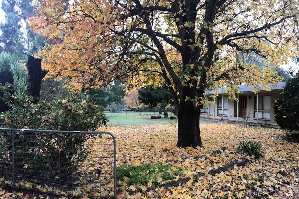 The Rocks Apartments Halls Gap Luaran gambar